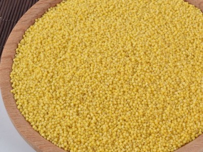 赤峰新小米产品 五谷杂粮批发月子小米 大量现货批发糯香小米图3