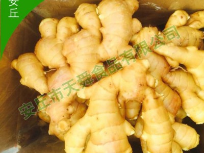 新鲜蔬菜月子姜 小黄姜保鲜姜山东厂家直供生姜 老姜现挖大黄姜图2