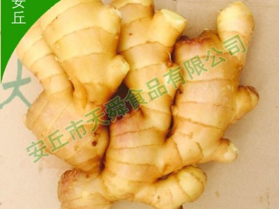 新鲜蔬菜月子姜 小黄姜保鲜姜山东厂家直供生姜 老姜现挖大黄姜图4