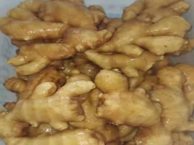 出口大姜批发姜新鲜山东生姜蔬菜保鲜姜山东大姜新姜整姜老姜出口图5