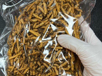 西藏冬虫夏草高海拔那曲虫草传统滋补品干货批发代发诚招代理图5