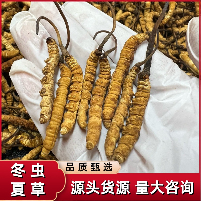 O1CN0128liuN2JtRPHLwgeM_!!3400289479-0-cib