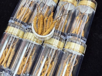 西藏那曲冬虫夏草干货高海拔滋补品虫草打粉煲汤送礼清平批发代发图4