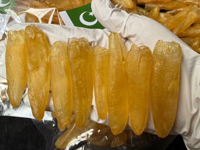 黄花胶天然鱼胶95头珍珠胶花胶一德路海味干货批发一件代发包邮图3