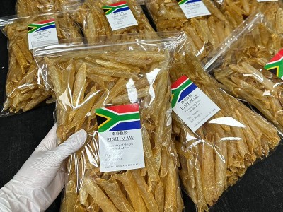 南非170头黄花胶天然鱼胶筒花胶一德路海味干货批发一件代发图3