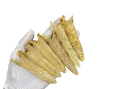 南非170头黄花胶天然鱼胶筒花胶一德路海味干货批发一件代发图5