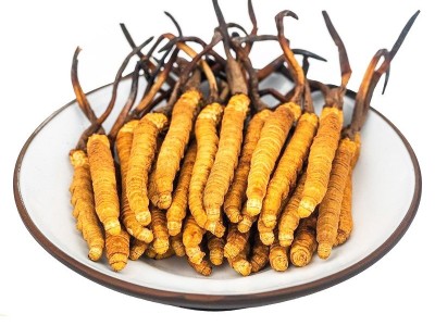 贵州云南湖南虫草中苗亚香棒虫草霍克斯冬虫夏草一公斤2000条左右图5