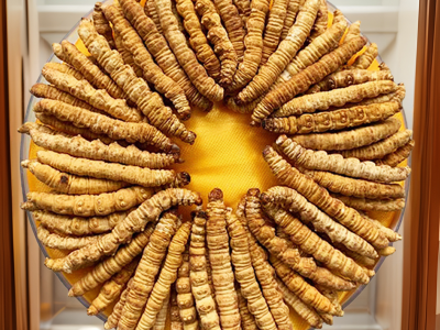 断草纯肉节冬虫夏草 虫草 冬虫草 冻干 断草断大量批发高海拔图2