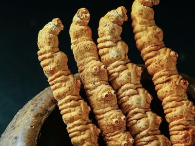 西藏那曲冬虫夏草批发新货虫草散装一手货源冬虫夏草源头产地批发图3