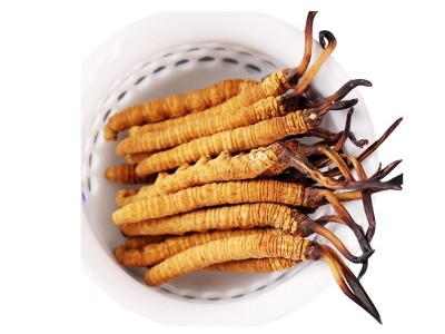 西藏那曲冬虫夏草批发新货虫草散装一手货源冬虫夏草源头产地批发图4