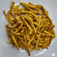 【野生虫草】那曲冬虫夏草虫草干货虫草礼盒滋补品批发产地直供