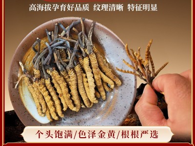 【野生虫草】那曲冬虫夏草干货礼盒滋补品批发产地直供高海拔图3