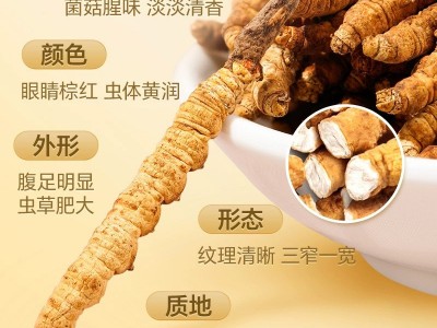 【野生虫草】那曲冬虫夏草干货礼盒滋补品批发产地直供高海拔图2