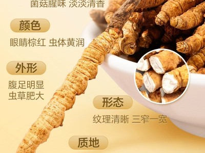 【冻干虫草】虫草干货虫草礼盒滋补品冬虫夏草礼盒批发产地直供图2