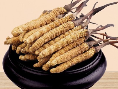 【冻干虫草】虫草干货虫草礼盒滋补品冬虫夏草礼盒批发产地直供图4