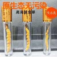【冻干虫草】虫草干货虫草礼盒滋补品冬虫夏草礼盒批发产地直供