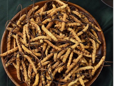 西藏冬虫夏草批发 产地直供全规格虫草足干冬虫夏草礼盒 支持代发图2