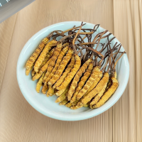 西藏冬虫夏草批发 产地直供全规格虫草足干冬虫夏草礼盒 支持代发