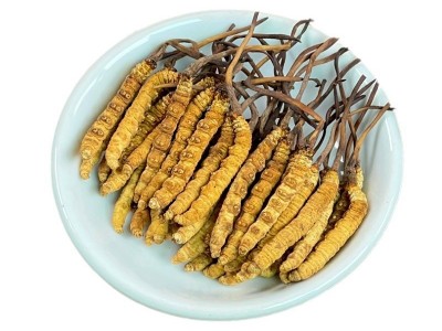 西藏冬虫夏草批发 产地直供全规格虫草足干冬虫夏草礼盒 支持代发图5