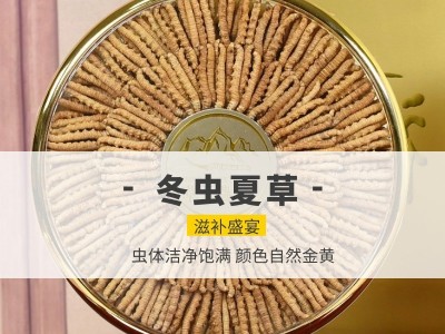 西藏冬虫夏草干货批发 头期高海拔虫草礼盒装 多规格干虫草无断草图2