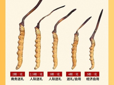 西藏冬虫夏草干货批发 头期高海拔虫草礼盒装 多规格干虫草无断草图3
