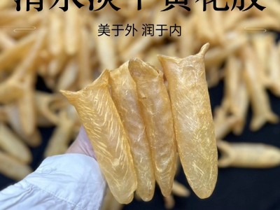 H1淡干黄花胶老鱼胶海味干货批发孕妇滋补干花胶黄花胶筒鲜炖鱼胶图2