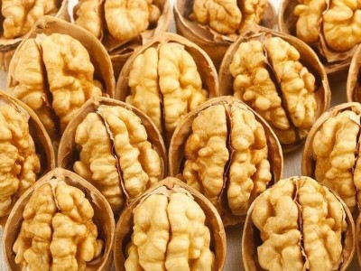 批发新疆特产核桃阿克苏薄皮核桃500g 新疆阿克苏薄皮核桃图2