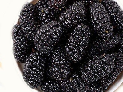 【代发】包邮批发果干 桑葚干袋装散装500g 泡水果茶熬粥黑桑葚干图5