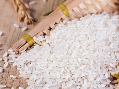 2025年五常农家笨米10kg袋装大米厂家批发东北大米20斤装当季新米图4