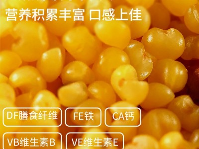 新年贺礼福利礼盒吉林盐碱地的单纯的铺子东北小米3.5kg真空锁鲜图2