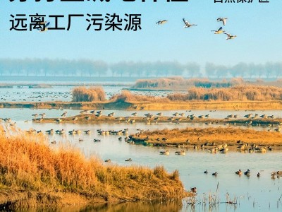 新年贺礼福利礼盒吉林盐碱地的单纯的铺子东北小米3.5kg真空锁鲜图4