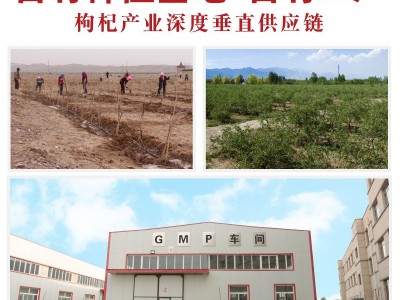 黑枸杞大果青海黑枸杞茶大果黑苟杞小果含花青素厂家 黑枸杞批发图3