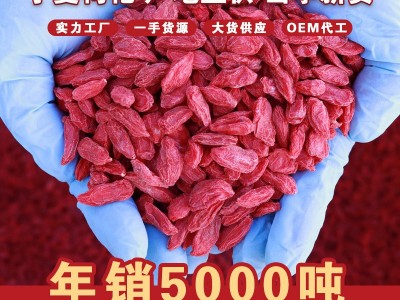 【1斤装】红枸杞散装源头现货批发枸杞子一手货源代发 枸杞图2