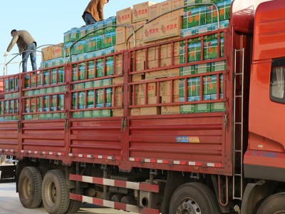 【1斤装】红枸杞散装源头现货批发枸杞子一手货源代发 枸杞图4