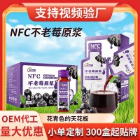 NFC不老莓浓缩原浆汁批发代发原液不老莓原浆饮品袋装源头工厂