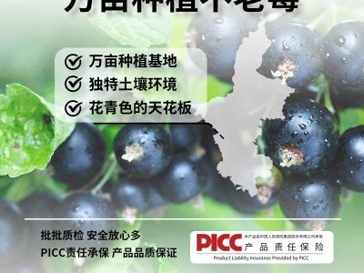 NFC不老莓浓缩原浆汁批发代发原液不老莓原浆饮品袋装源头工厂图4