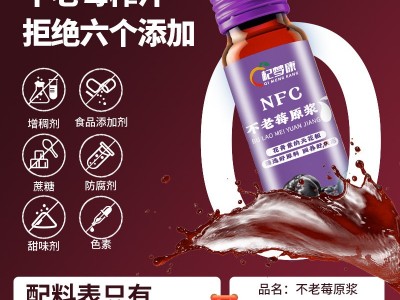 NFC不老莓浓缩原浆汁批发代发原液不老莓原浆饮品袋装源头工厂图5