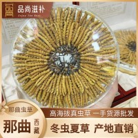 西藏那曲虫草 高海拔头期冬虫夏草 晒干足干冬虫夏草批发虫草批发