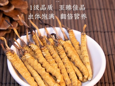 西藏那曲虫草 高海拔头期冬虫夏草 晒干足干冬虫夏草批发虫草批发图4