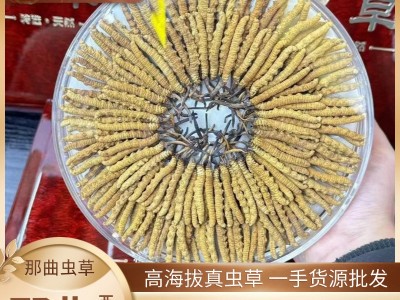 西藏那曲虫草 高海拔头期冬虫夏草 晒干足干冬虫夏草批发虫草批发图2