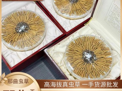西藏那曲虫草 高海拔头期冬虫夏草 晒干足干冬虫夏草批发虫草批发图3