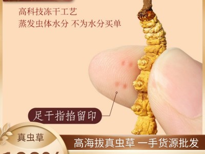 西藏冬虫夏草礼盒装冻干草高海拔青海虫草礼盒无断草虫草产地批发图4