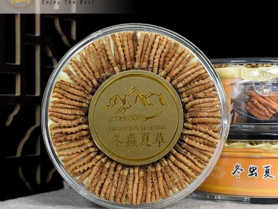 西藏那曲虫草100条装 头期冬虫夏草晒干足干冬虫夏草批发虫草批发图2