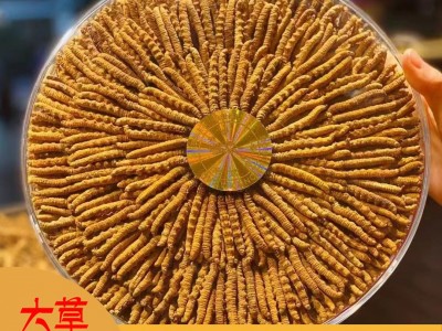 冬虫夏草西藏那曲虫草500根送礼青藏源头批发一件代发天然滋补图2