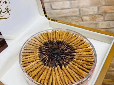 冬虫夏草西藏那曲虫草500根送礼青藏源头批发一件代发天然滋补图5