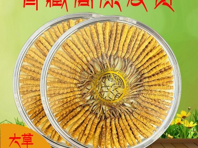冬虫夏草西藏那曲虫草500根送礼青藏源头批发一件代发天然滋补图4