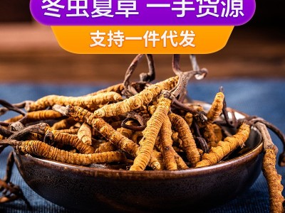 西藏那曲虫草野冬虫草青海玉树冬虫夏草批发供应一件代发高原野生图3
