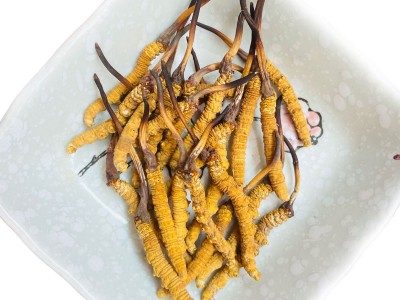 西藏那曲虫草野冬虫草青海玉树冬虫夏草批发供应一件代发高原野生图5