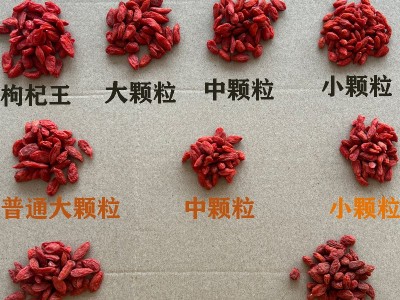 【荣杰强】宁夏枸杞整箱大中小颗粒新货红枸杞散装40 斤批发杞子图2