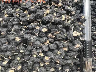 新货青海柴达木盆地黑枸杞足干精选常年大量现货批发500g40阿胶图3